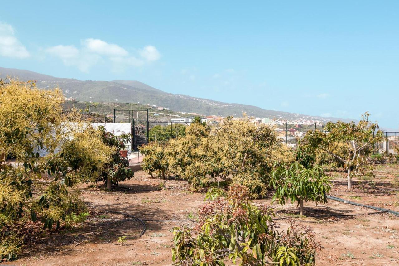 הוילה איקוד דה לוס וינוס Casa Quemahierro 1 מראה חיצוני תמונה